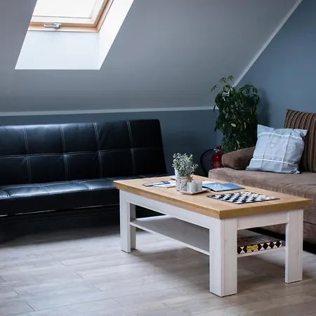 아파트 Grabinka - 100 M2 *