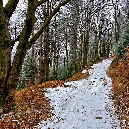 Grabinka - 100 M2 Daire