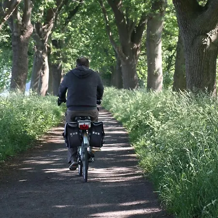 아파트 Grabinka - 100 M2