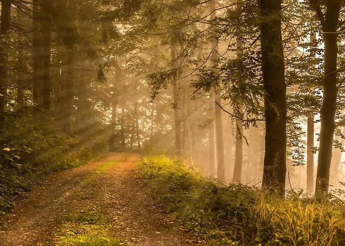 Grabinka - 100 M2 דירה ביילסקו-ביאלה