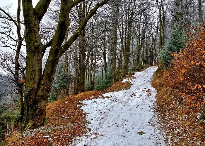Grabinka - 100 M2 דירה