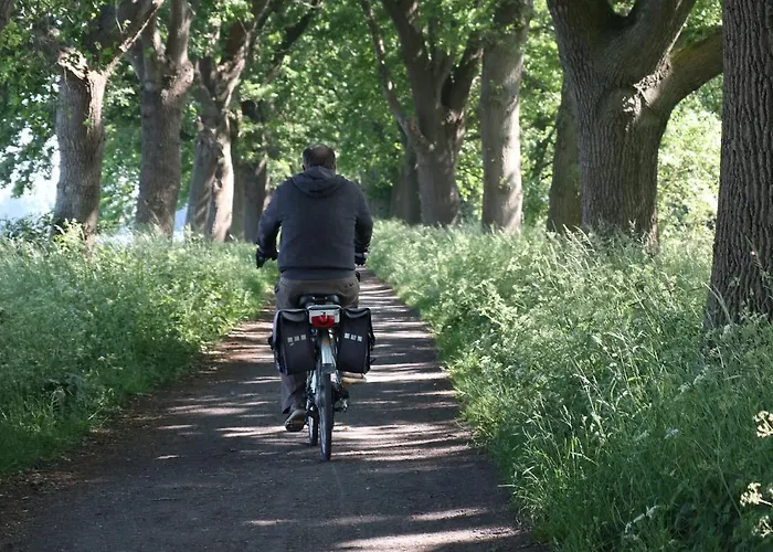 דירה Grabinka - 100 M2