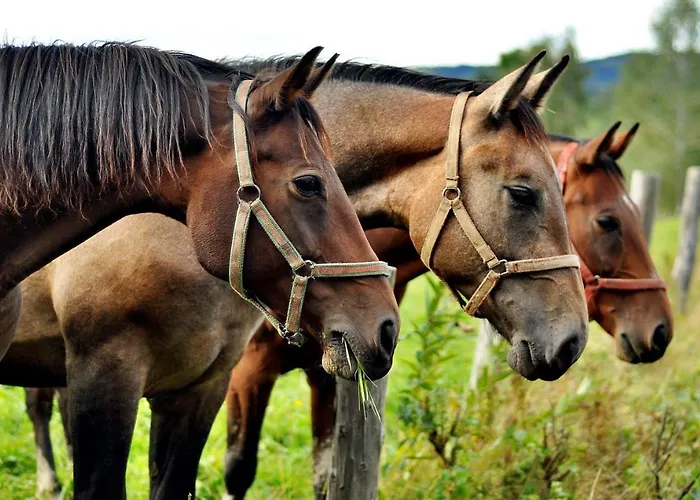 דירה Grabinka - 100 M2 *